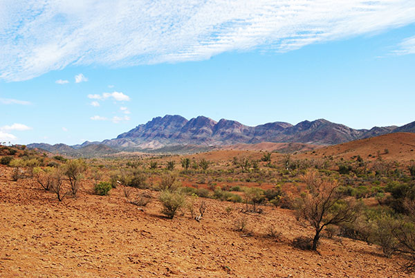 Flinders_ranges_pastoral_land.jpg